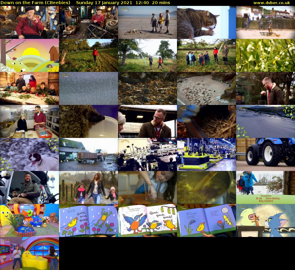 Down on the Farm (CBeebies) Sunday 17 January 2021 12:40 - 13:00