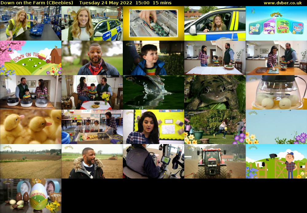 Down on the Farm (CBeebies) Tuesday 24 May 2022 15:00 - 15:15