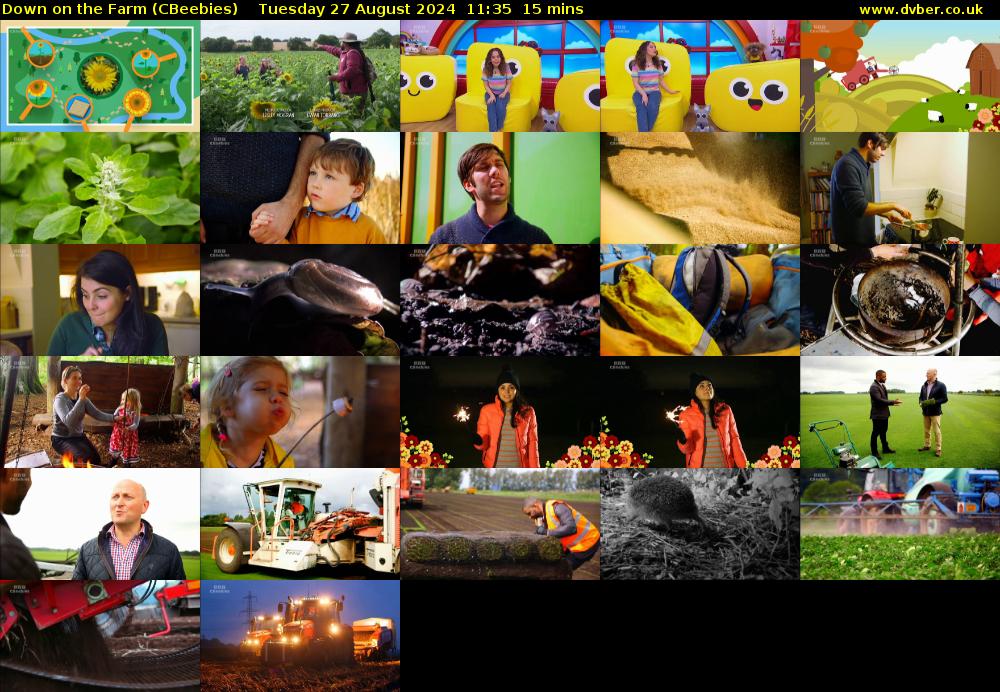 Down on the Farm (CBeebies) Tuesday 27 August 2024 11:35 - 11:50