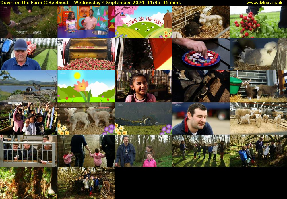 Down on the Farm (CBeebies) Wednesday 4 September 2024 11:35 - 11:50