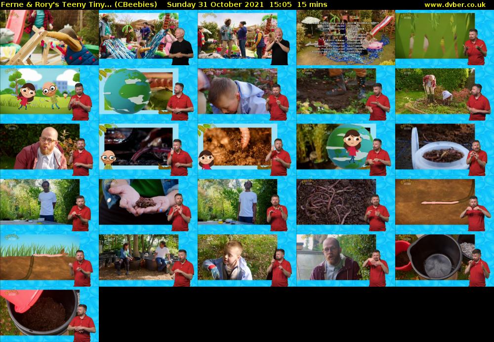Ferne & Rory's Teeny Tiny... (CBeebies) Sunday 31 October 2021 15:05 - 15:20