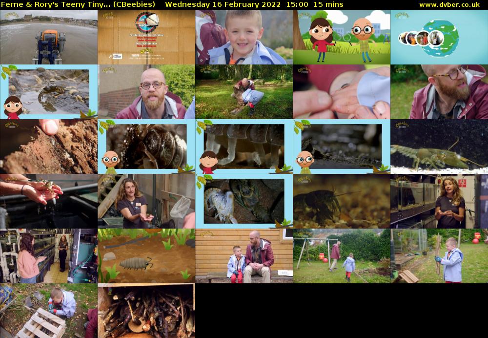 Ferne & Rory's Teeny Tiny... (CBeebies) Wednesday 16 February 2022 15:00 - 15:15