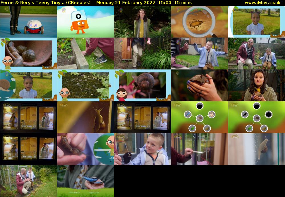 Ferne & Rory's Teeny Tiny... (CBeebies) Monday 21 February 2022 15:00 - 15:15