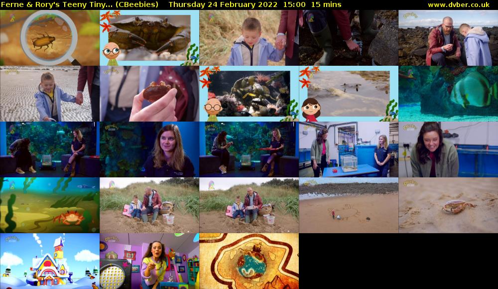 Ferne & Rory's Teeny Tiny... (CBeebies) Thursday 24 February 2022 15:00 - 15:15
