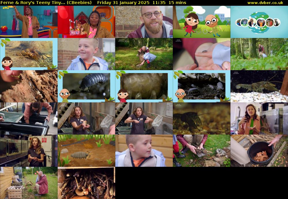 Ferne & Rory's Teeny Tiny... (CBeebies) Friday 31 January 2025 11:35 - 11:50