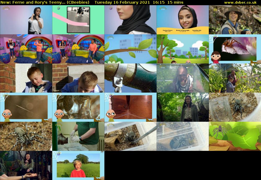 Ferne and Rory's Teeny... (CBeebies) Tuesday 16 February 2021 16:15 - 16:30
