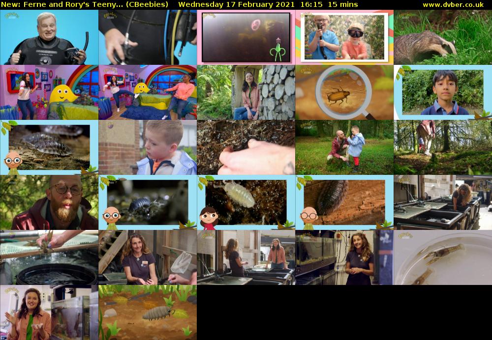 Ferne and Rory's Teeny... (CBeebies) Wednesday 17 February 2021 16:15 - 16:30