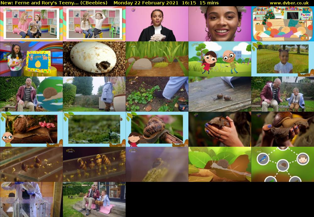 Ferne and Rory's Teeny... (CBeebies) Monday 22 February 2021 16:15 - 16:30