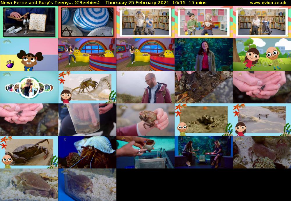 Ferne and Rory's Teeny... (CBeebies) Thursday 25 February 2021 16:15 - 16:30