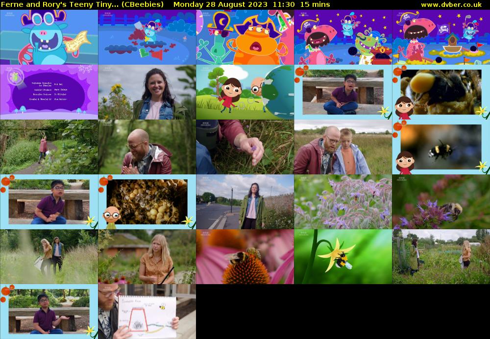 Ferne and Rory's Teeny Tiny... (CBeebies) Monday 28 August 2023 11:30 - 11:45