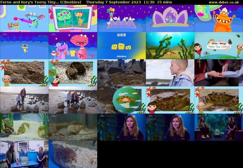 Ferne and Rory's Teeny Tiny... (CBeebies) Thursday 7 September 2023 11:30 - 11:45