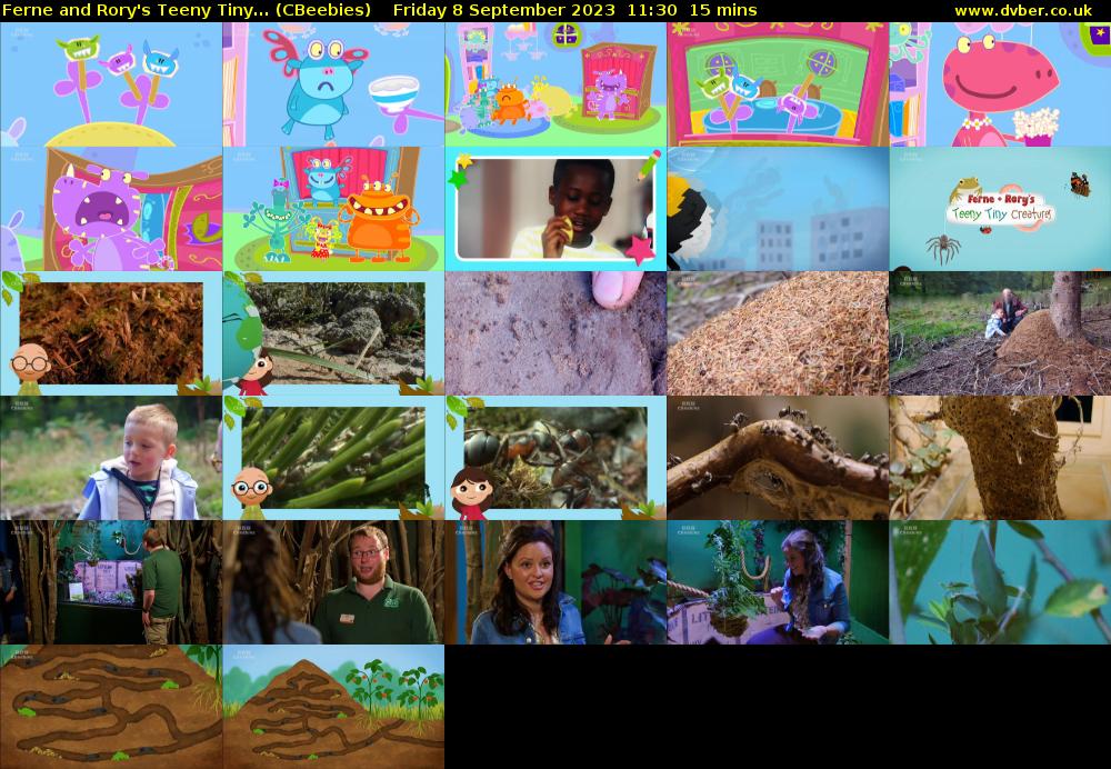 Ferne and Rory's Teeny Tiny... (CBeebies) Friday 8 September 2023 11:30 - 11:45