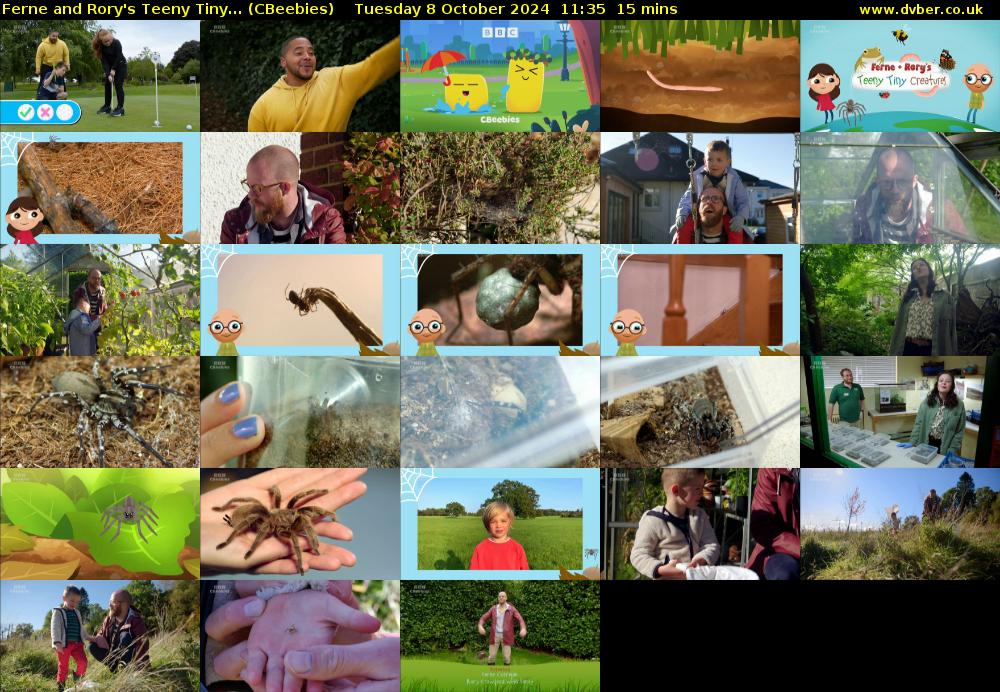 Ferne and Rory's Teeny Tiny... (CBeebies) Tuesday 8 October 2024 11:35 - 11:50