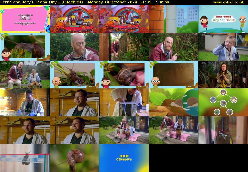 Ferne and Rory's Teeny Tiny... (CBeebies) Monday 14 October 2024 11:35 - 11:50