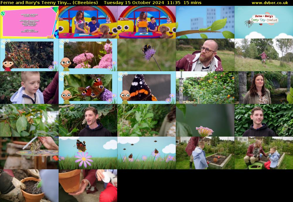 Ferne and Rory's Teeny Tiny... (CBeebies) Tuesday 15 October 2024 11:35 - 11:50