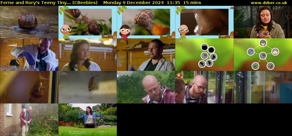 Ferne and Rory's Teeny Tiny... (CBeebies) Monday 9 December 2024 11:35 - 11:50