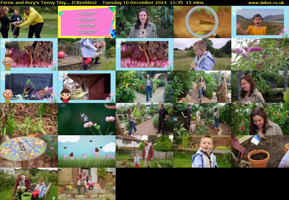 Ferne and Rory's Teeny Tiny... (CBeebies) Tuesday 10 December 2024 11:35 - 11:50