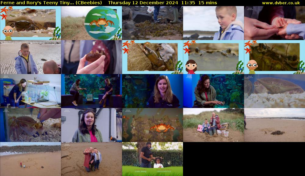 Ferne and Rory's Teeny Tiny... (CBeebies) Thursday 12 December 2024 11:35 - 11:50