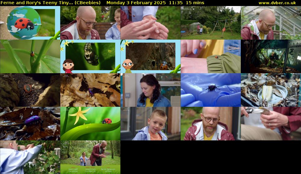 Ferne and Rory's Teeny Tiny... (CBeebies) Monday 3 February 2025 11:35 - 11:50