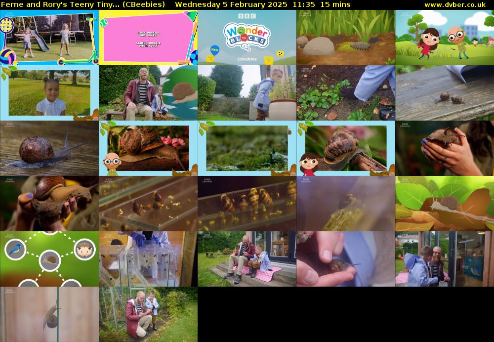 Ferne and Rory's Teeny Tiny... (CBeebies) Wednesday 5 February 2025 11:35 - 11:50