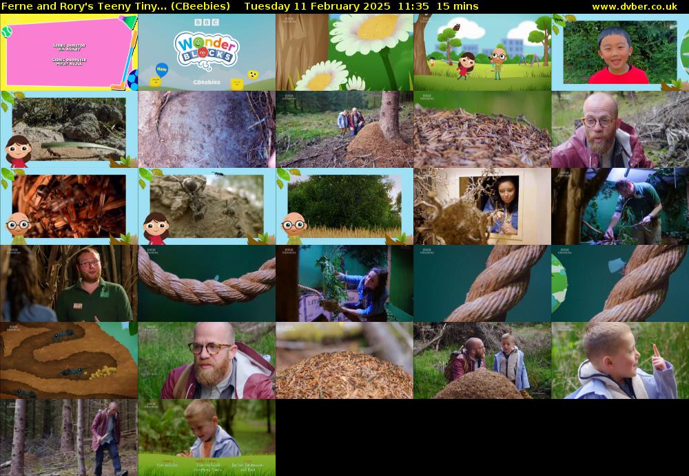 Ferne and Rory's Teeny Tiny... (CBeebies) Tuesday 11 February 2025 11:35 - 11:50