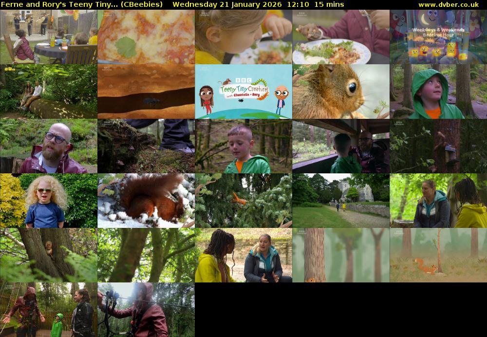 Ferne and Rory's Teeny Tiny... (CBeebies) Wednesday 21 January 2026 12:10 - 12:25