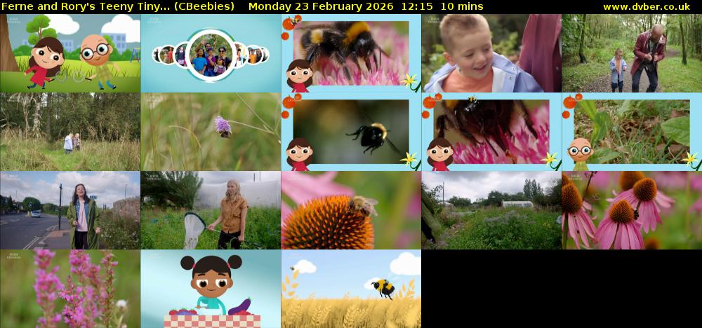 Ferne and Rory's Teeny Tiny... (CBeebies) Monday 23 February 2026 12:15 - 12:25