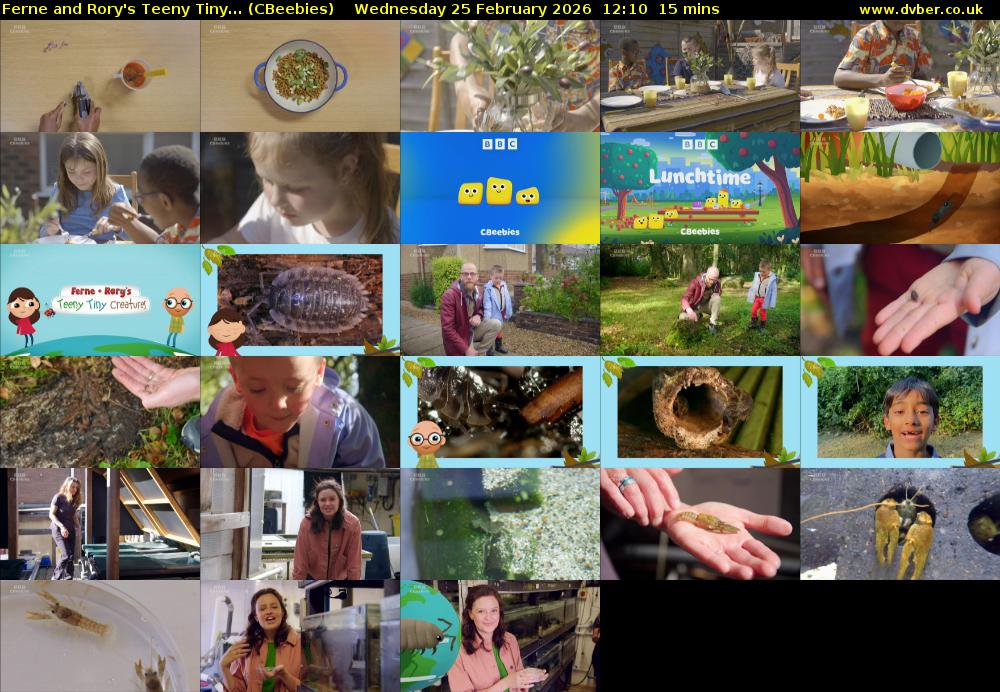 Ferne and Rory's Teeny Tiny... (CBeebies) Wednesday 25 February 2026 12:10 - 12:25