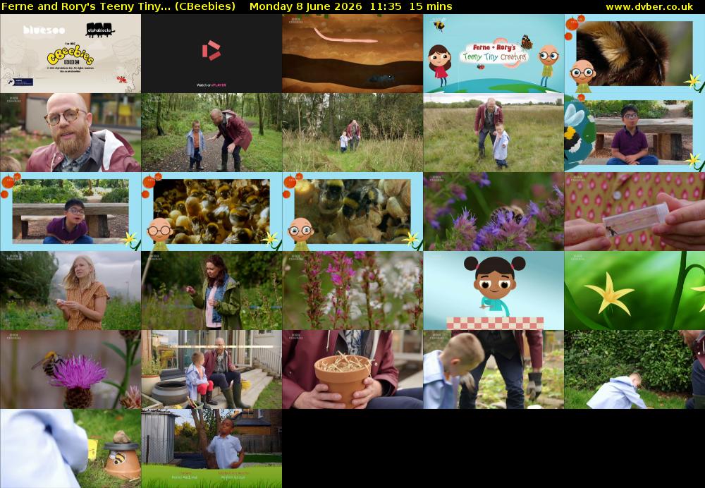 Ferne and Rory's Teeny Tiny... (CBeebies) Monday 8 June 2026 11:35 - 11:50