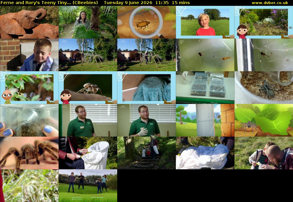 Ferne and Rory's Teeny Tiny... (CBeebies) Tuesday 9 June 2026 11:35 - 11:50