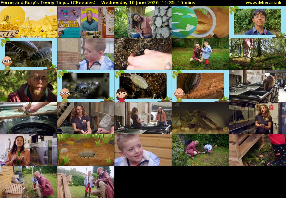 Ferne and Rory's Teeny Tiny... (CBeebies) Wednesday 10 June 2026 11:35 - 11:50