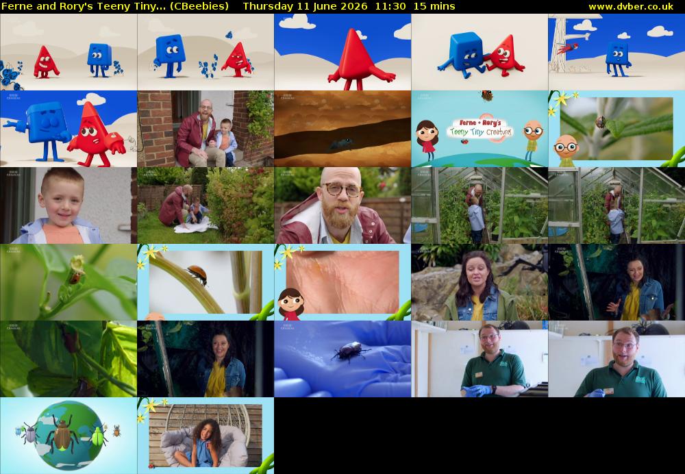 Ferne and Rory's Teeny Tiny... (CBeebies) Thursday 11 June 2026 11:30 - 11:45