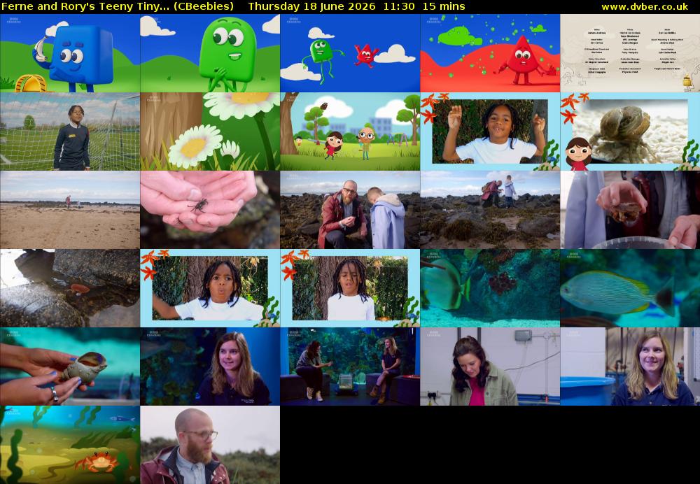 Ferne and Rory's Teeny Tiny... (CBeebies) Thursday 18 June 2026 11:30 - 11:45