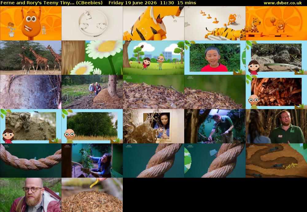 Ferne and Rory's Teeny Tiny... (CBeebies) Friday 19 June 2026 11:30 - 11:45