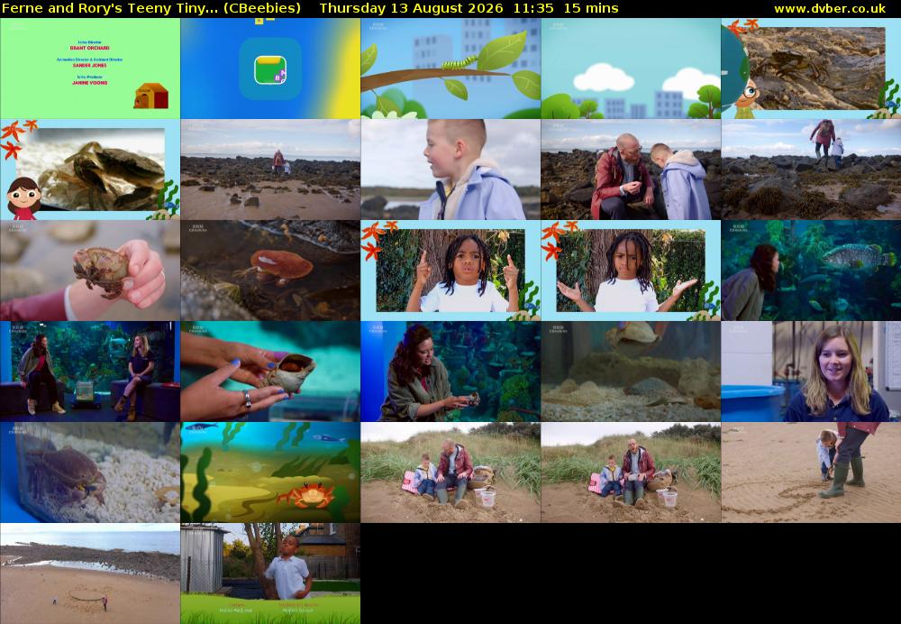 Ferne and Rory's Teeny Tiny... (CBeebies) Thursday 13 August 2026 11:35 - 11:50