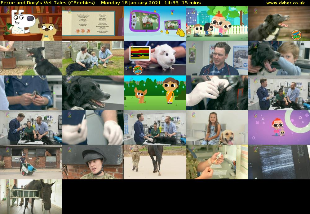 Ferne and Rory's Vet Tales (CBeebies) Monday 18 January 2021 14:35 - 14:50