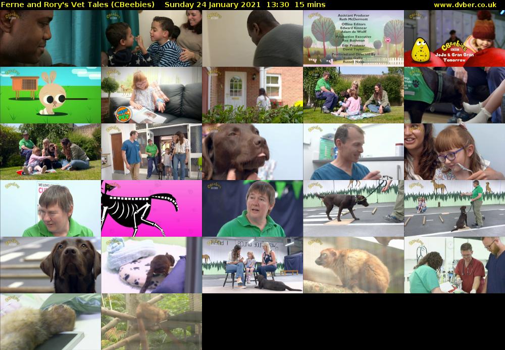 Ferne and Rory's Vet Tales (CBeebies) Sunday 24 January 2021 13:30 - 13:45