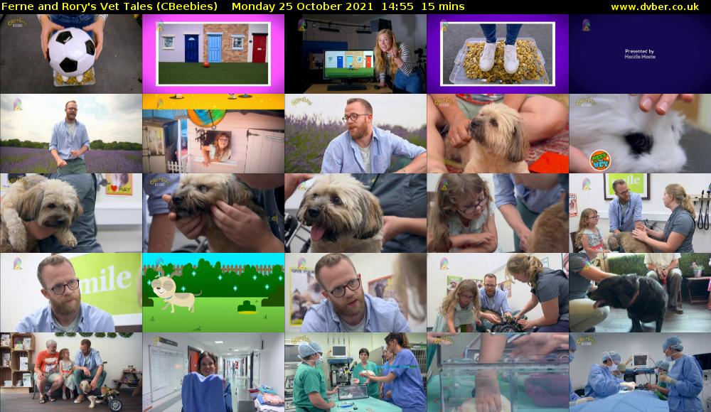 Ferne and Rory's Vet Tales (CBeebies) Monday 25 October 2021 14:55 - 15:10