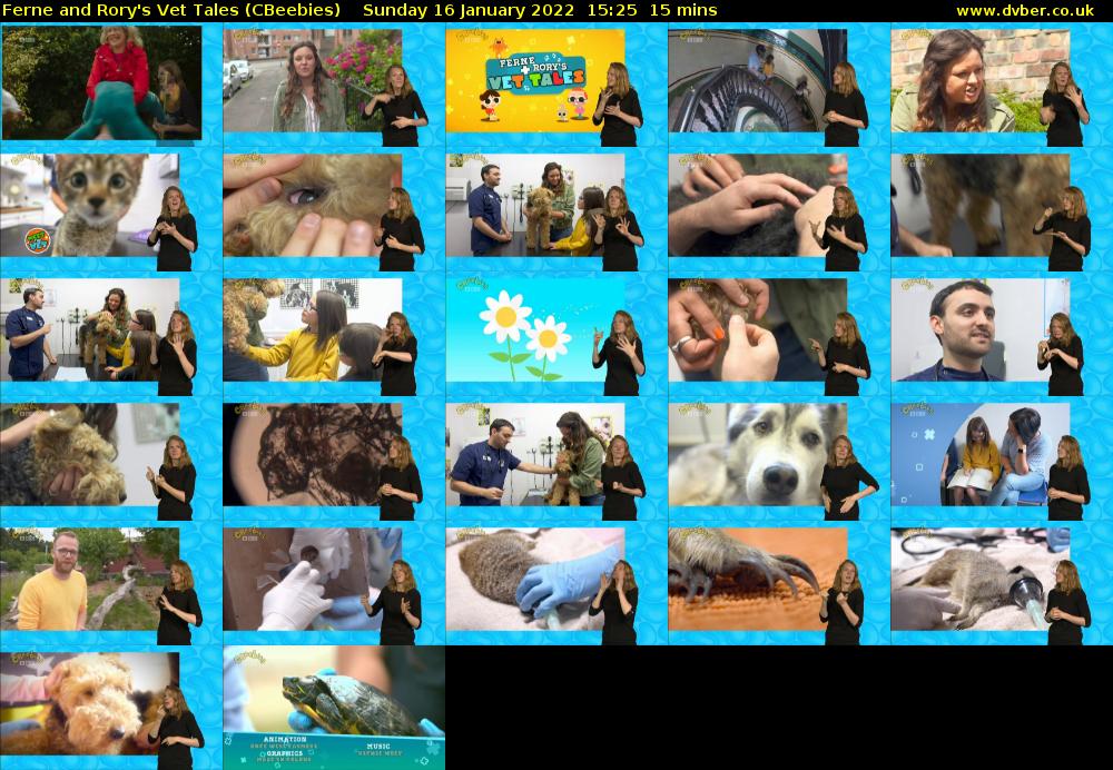 Ferne and Rory's Vet Tales (CBeebies) Sunday 16 January 2022 15:25 - 15:40