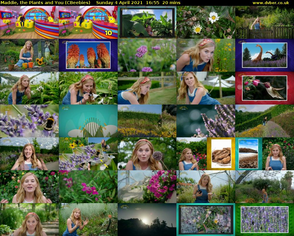 Maddie, the Plants and You (CBeebies) Sunday 4 April 2021 16:55 - 17:15