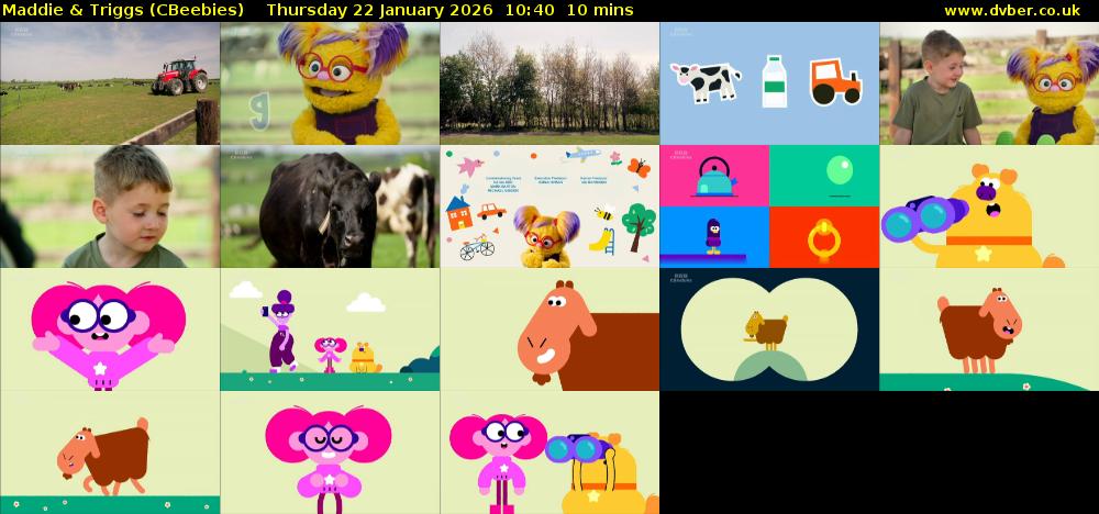 Maddie & Triggs (CBeebies) Thursday 22 January 2026 10:40 - 10:50
