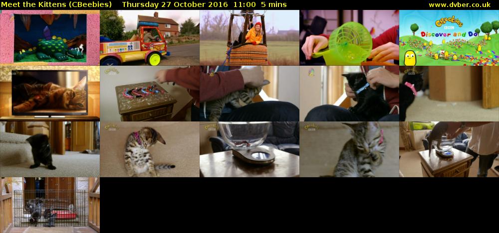 Meet the Kittens (CBeebies) Thursday 27 October 2016 11:00 - 11:05