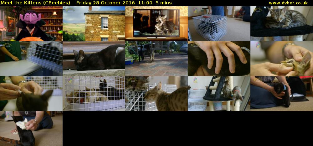 Meet the Kittens (CBeebies) Friday 28 October 2016 11:00 - 11:05
