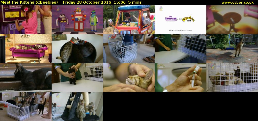 Meet the Kittens (CBeebies) Friday 28 October 2016 15:00 - 15:05