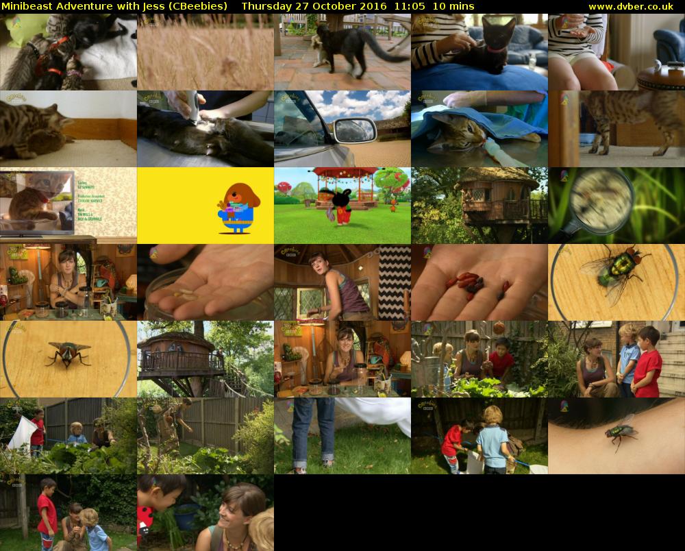 Minibeast Adventure with Jess (CBeebies) Thursday 27 October 2016 11:05 - 11:15