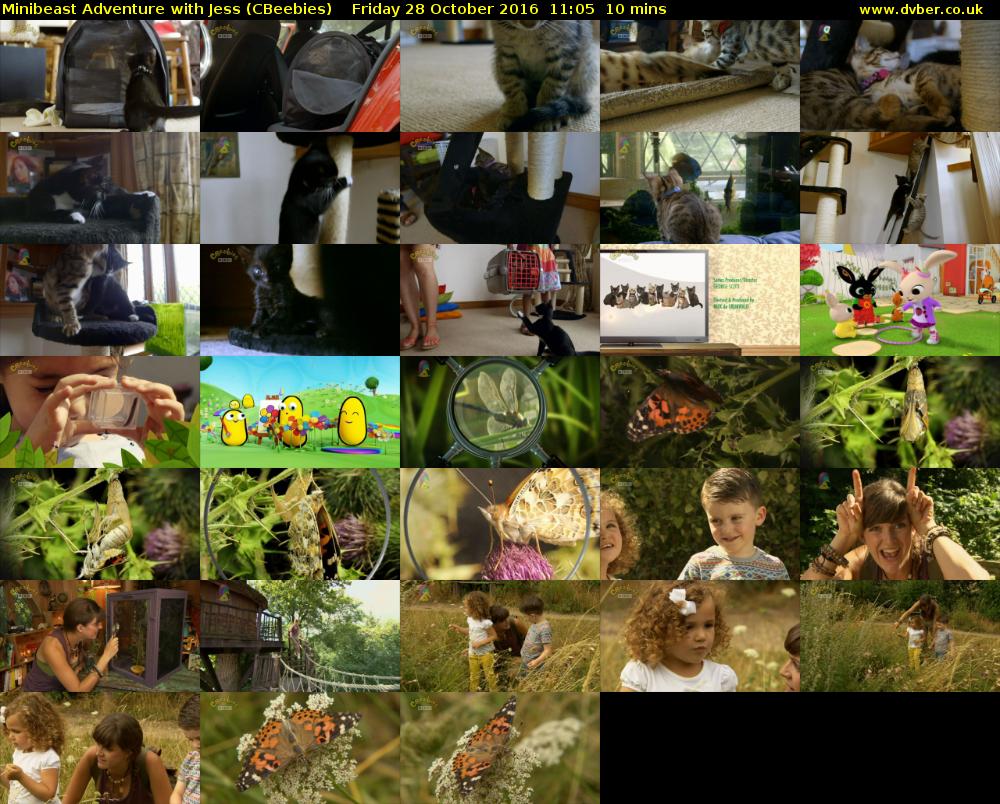 Minibeast Adventure with Jess (CBeebies) Friday 28 October 2016 11:05 - 11:15