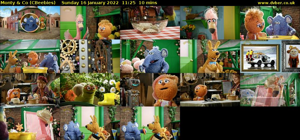 Monty & Co (CBeebies) Sunday 16 January 2022 11:25 - 11:35