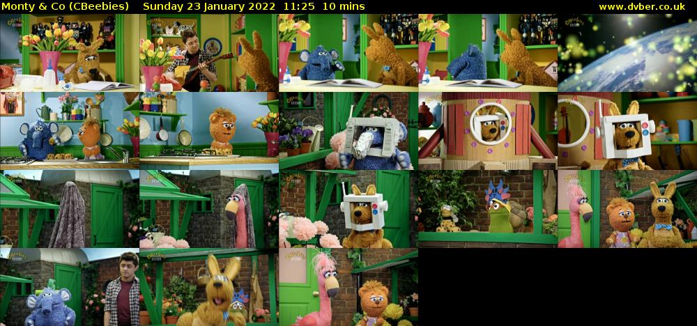 Monty & Co (CBeebies) Sunday 23 January 2022 11:25 - 11:35