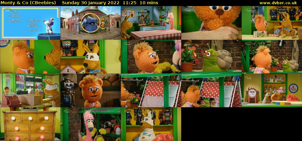 Monty & Co (CBeebies) Sunday 30 January 2022 11:25 - 11:35