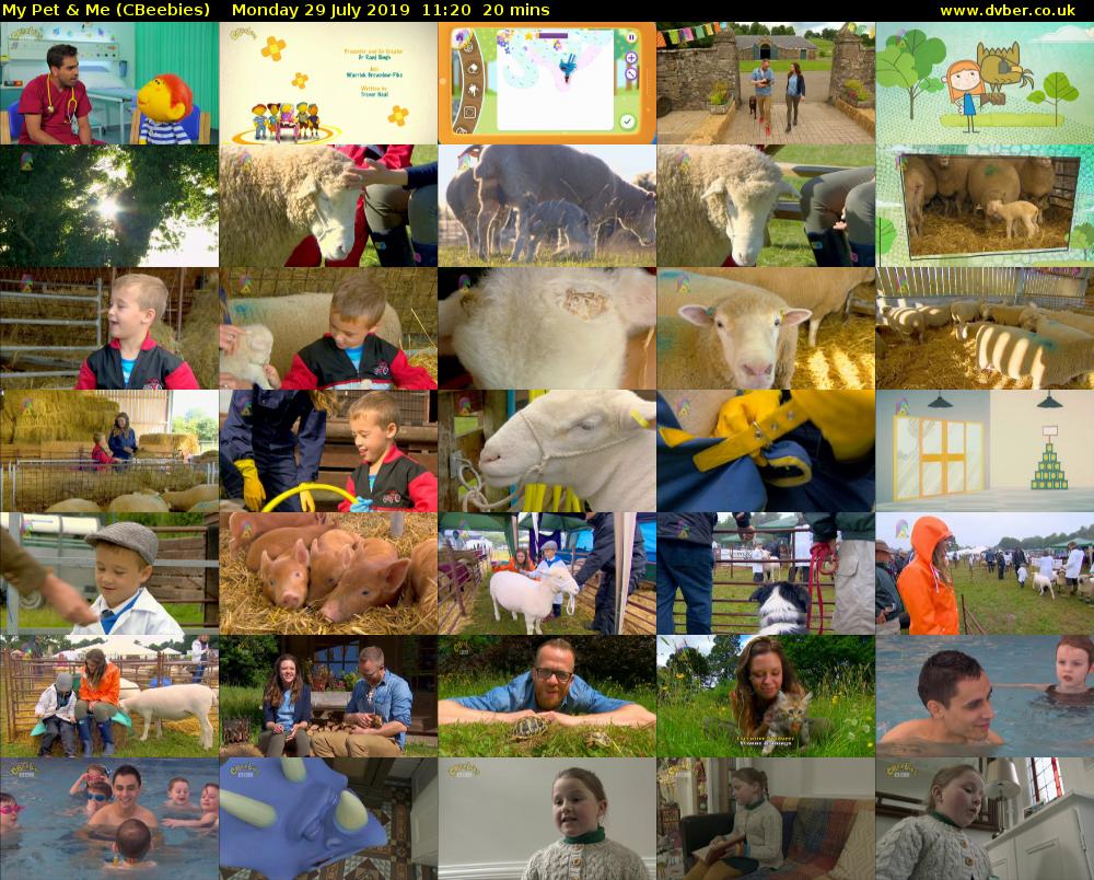 My Pet & Me (CBeebies) Monday 29 July 2019 11:20 - 11:40